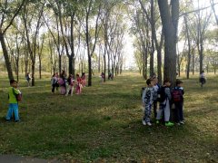 IMG_20171018_154354.jpg